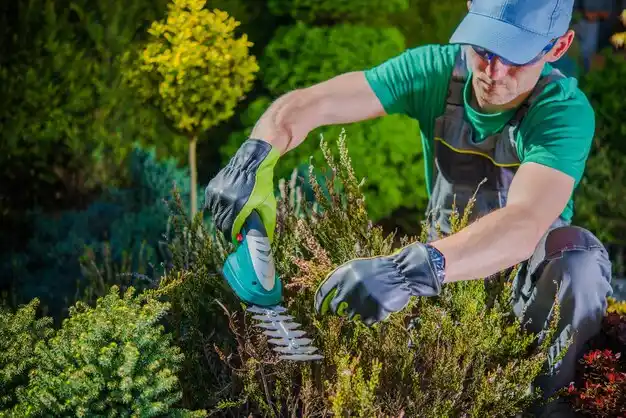 landscaping services West Plains